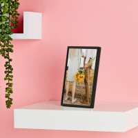 Read Max Spielmann Reviews